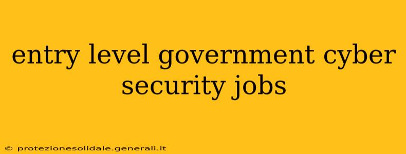 entry level government cyber security jobs