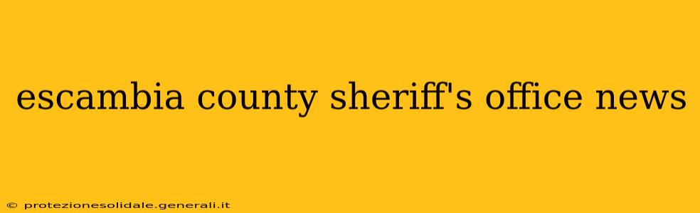 escambia county sheriff's office news