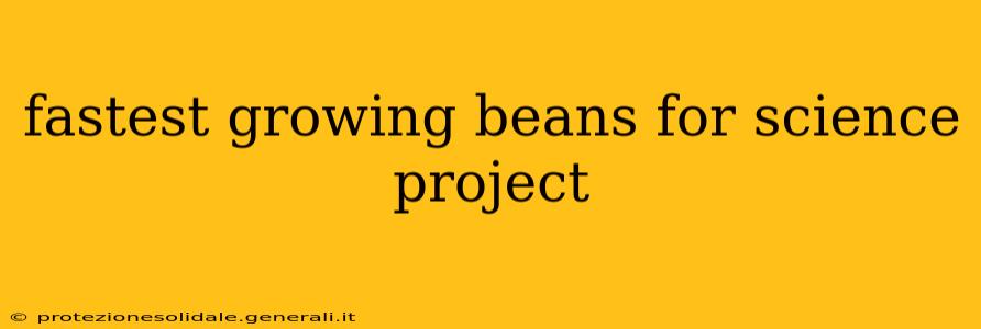 fastest growing beans for science project