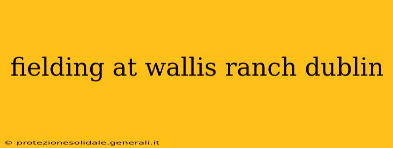 fielding at wallis ranch dublin