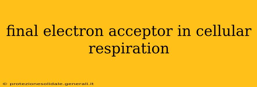 final electron acceptor in cellular respiration
