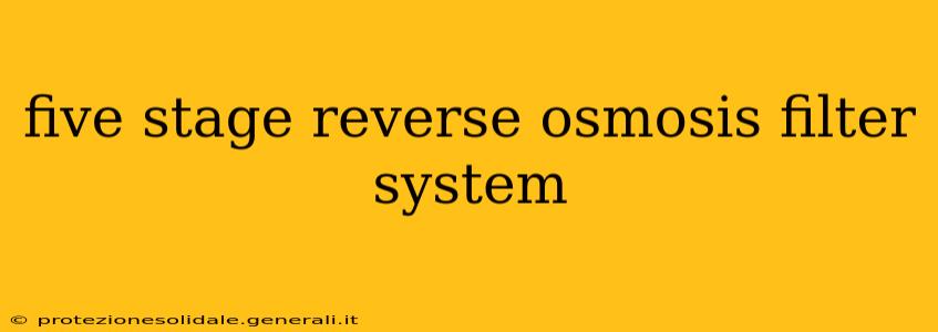 five stage reverse osmosis filter system