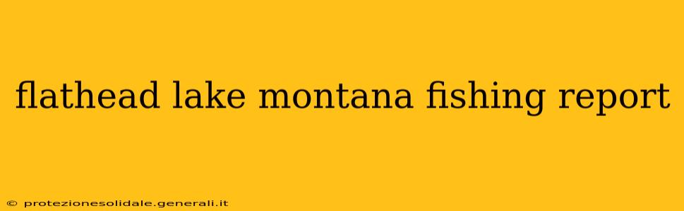 flathead lake montana fishing report