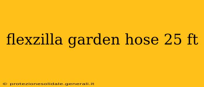 flexzilla garden hose 25 ft