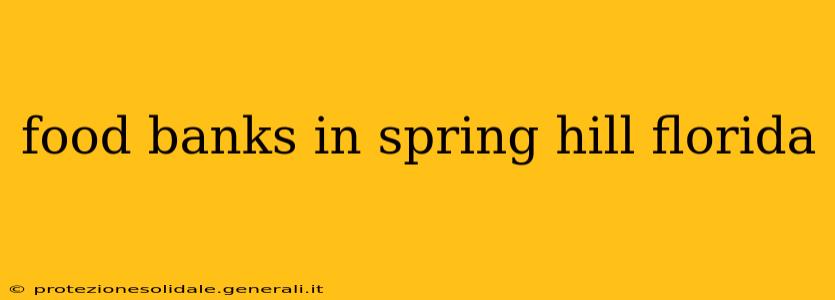 food banks in spring hill florida