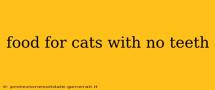 food for cats with no teeth