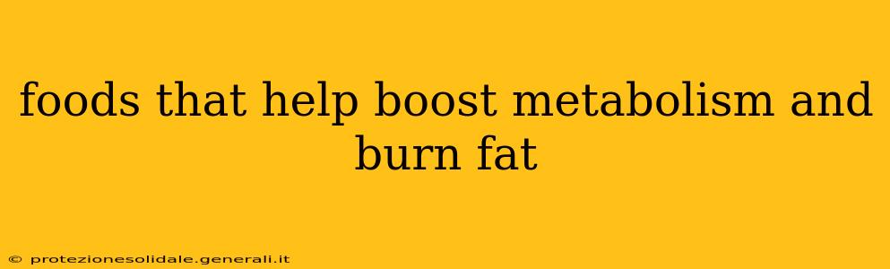foods that help boost metabolism and burn fat