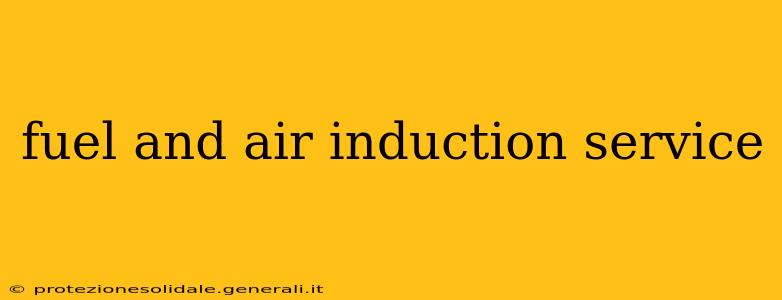 fuel and air induction service