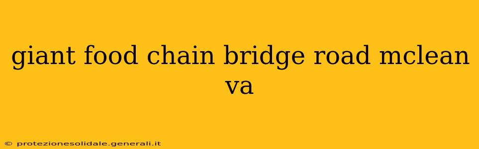 giant food chain bridge road mclean va