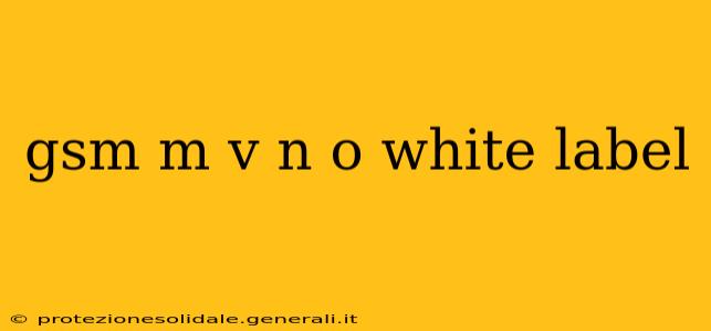 gsm m v n o white label