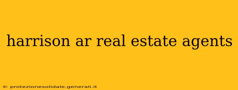 harrison ar real estate agents