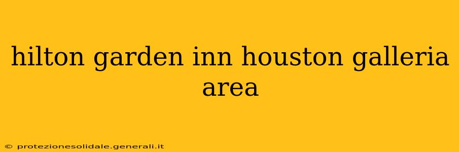 hilton garden inn houston galleria area