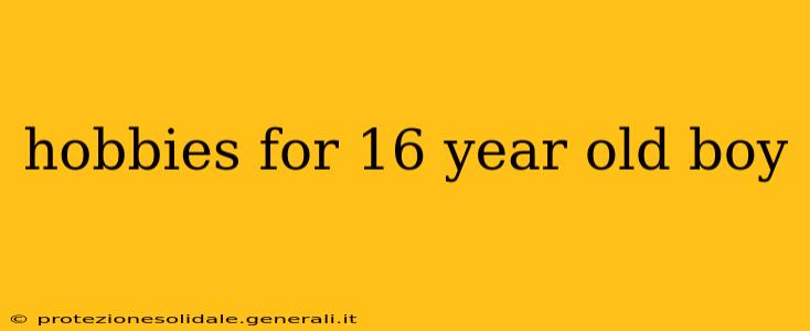 hobbies for 16 year old boy