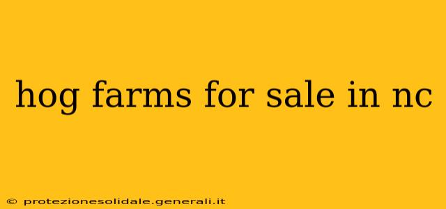 hog farms for sale in nc