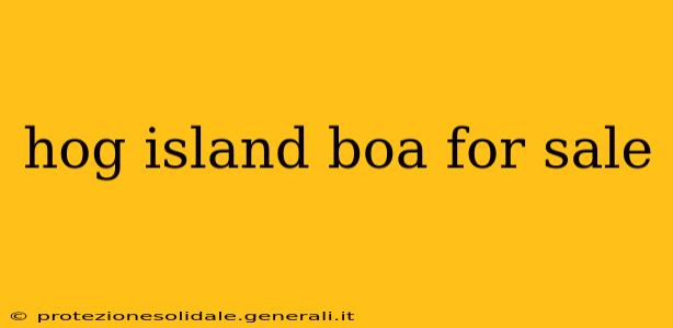 hog island boa for sale