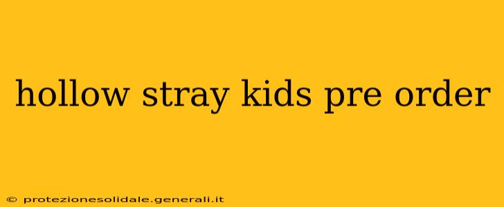 hollow stray kids pre order