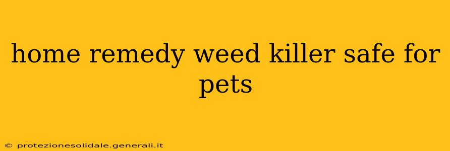 home remedy weed killer safe for pets