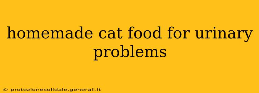 homemade cat food for urinary problems