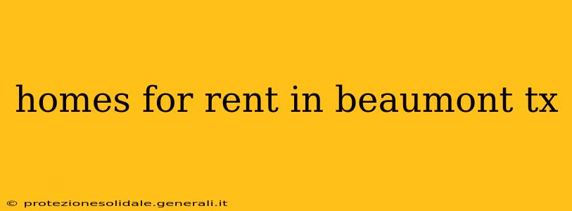 homes for rent in beaumont tx