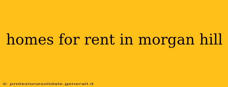 homes for rent in morgan hill