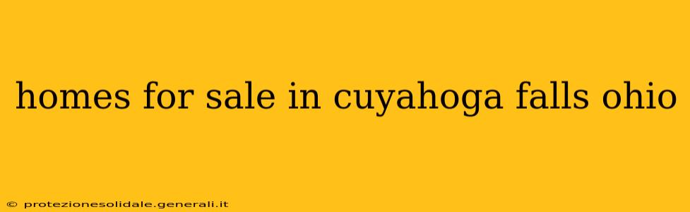 homes for sale in cuyahoga falls ohio
