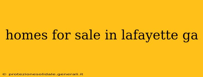 homes for sale in lafayette ga