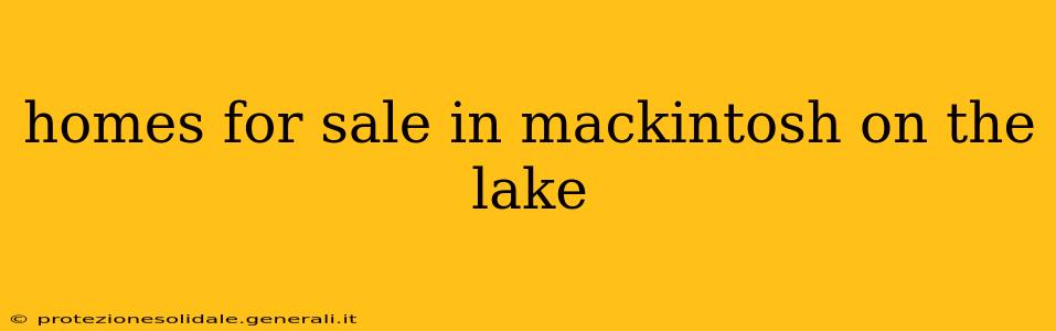 homes for sale in mackintosh on the lake