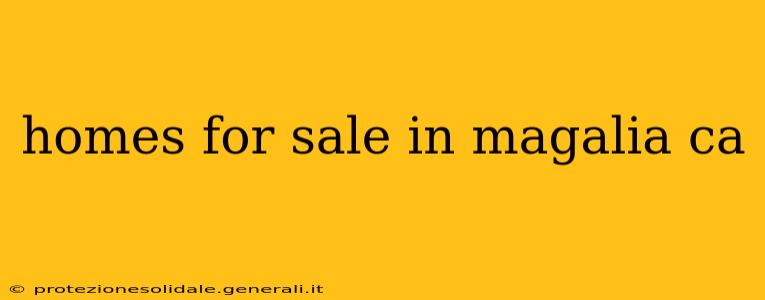 homes for sale in magalia ca