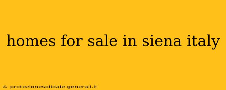 homes for sale in siena italy