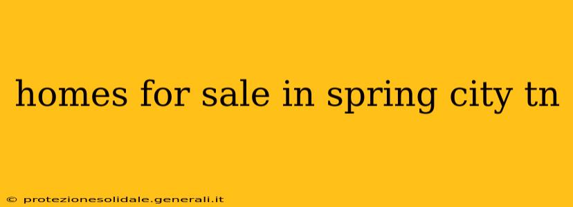 homes for sale in spring city tn