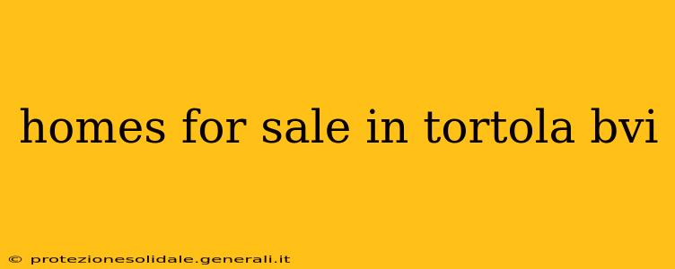 homes for sale in tortola bvi