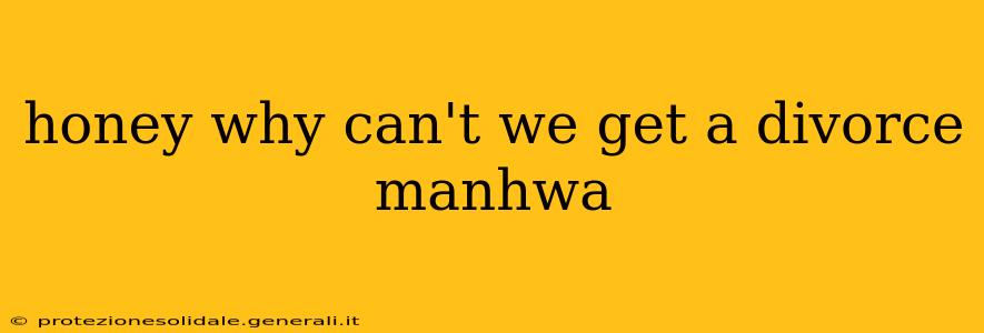 honey why can't we get a divorce manhwa