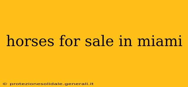 horses for sale in miami