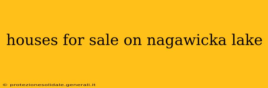 houses for sale on nagawicka lake