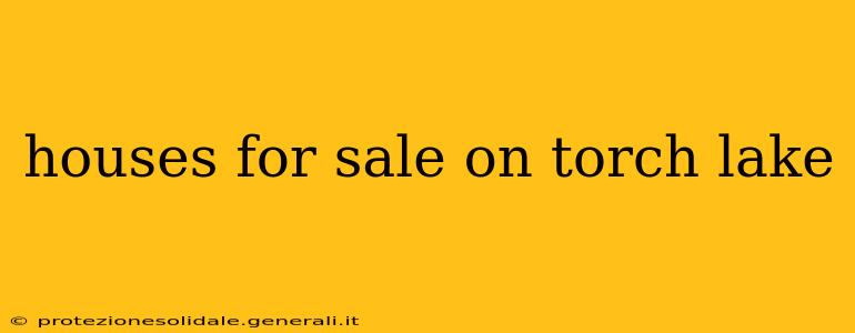 houses for sale on torch lake
