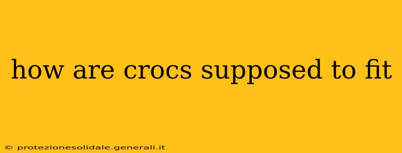 how are crocs supposed to fit