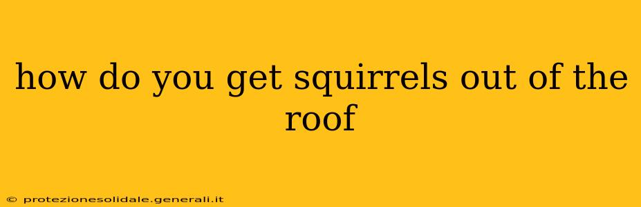 how do you get squirrels out of the roof