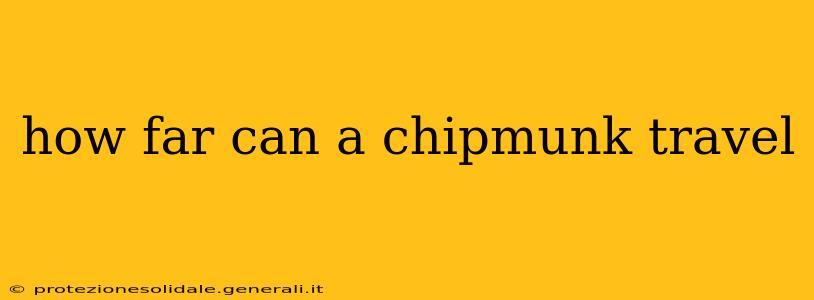 how far can a chipmunk travel