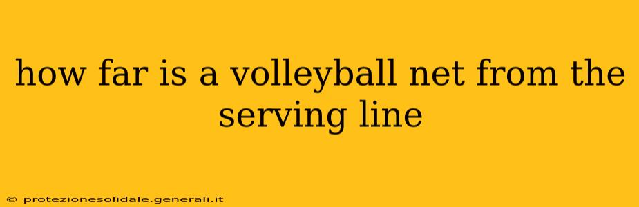 how far is a volleyball net from the serving line