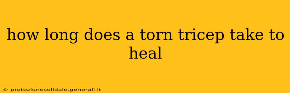 how long does a torn tricep take to heal