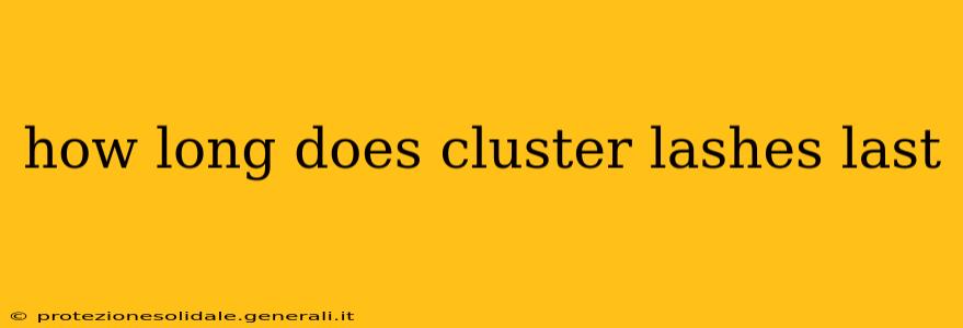 how long does cluster lashes last