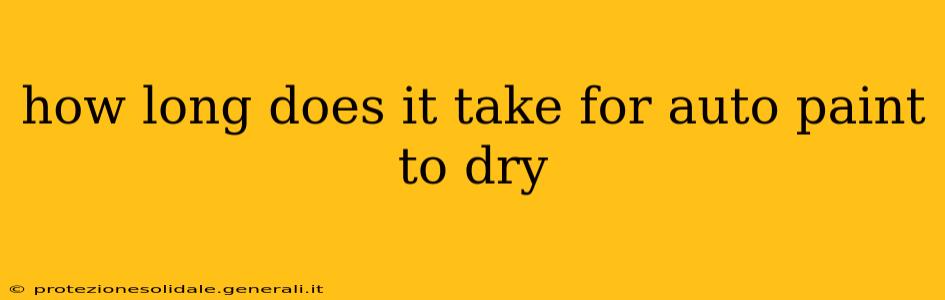 how long does it take for auto paint to dry