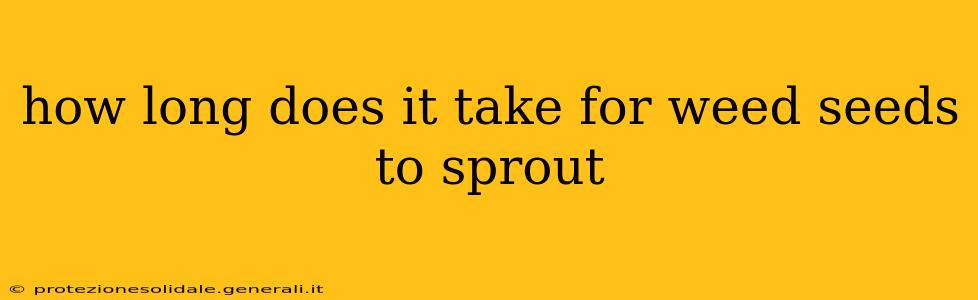 how long does it take for weed seeds to sprout