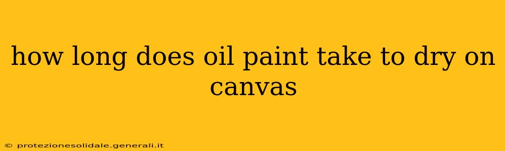 how long does oil paint take to dry on canvas