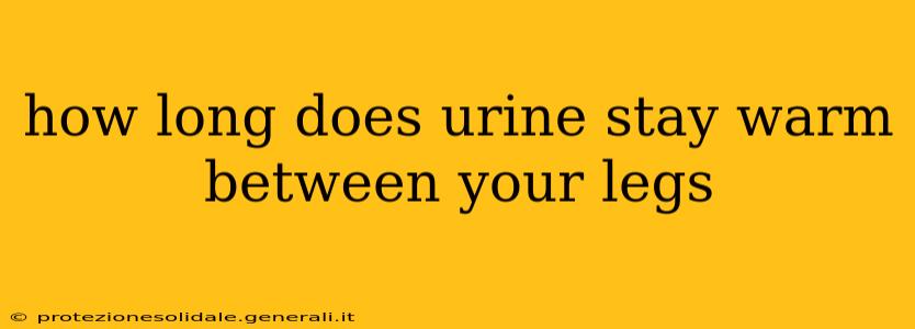 how long does urine stay warm between your legs