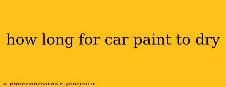 how long for car paint to dry