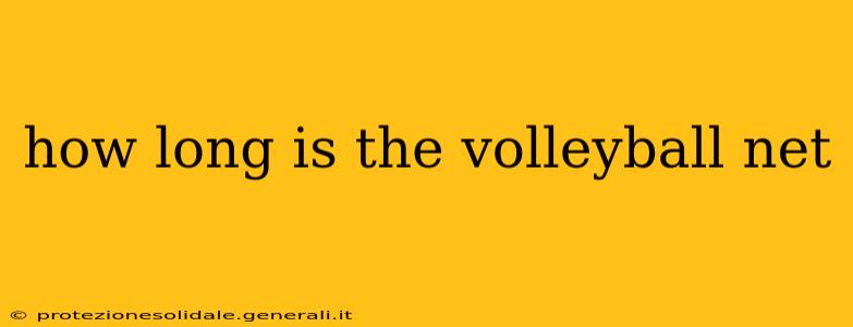 how long is the volleyball net