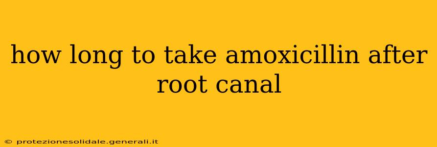 how long to take amoxicillin after root canal