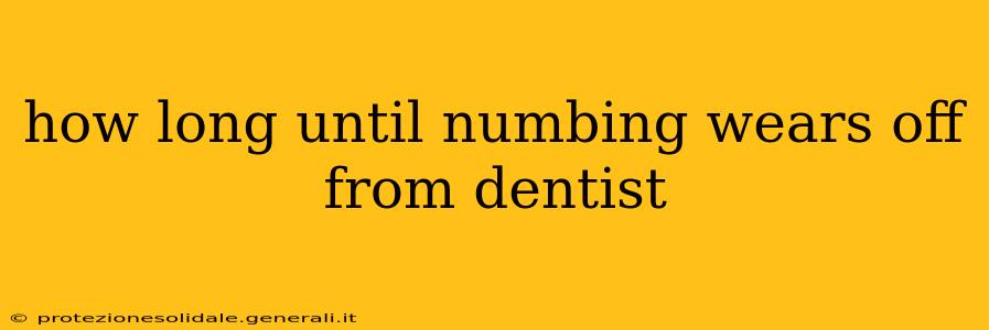 how long until numbing wears off from dentist
