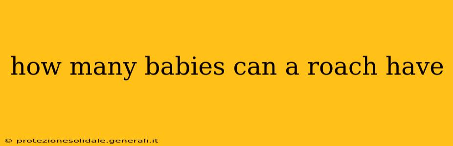 how many babies can a roach have
